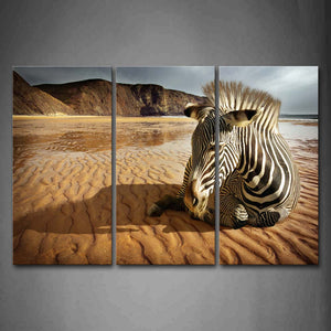 Zebra Sit On Beach Sand Mountain Wall Art Painting Pictures Print On Canvas Animal The Picture For Home Modern Decoration 