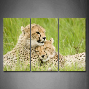 Two Cheetah Lie Closely In Grass Wall Art Painting Pictures Print On Canvas Animal The Picture For Home Modern Decoration 