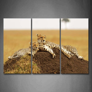 Mother Cheetah And Cub Lie On Mound Dry Grass Wall Art Painting The Picture Print On Canvas Animal Pictures For Home Decor Decoration Gift 