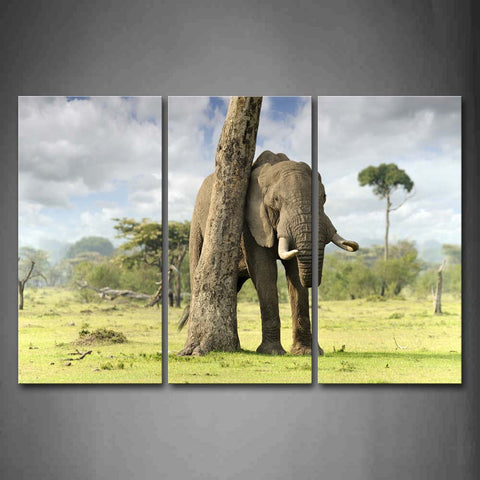 Elephant Grind Trunk On Lawn Trees Wall Art Painting Pictures Print On Canvas Animal The Picture For Home Modern Decoration 