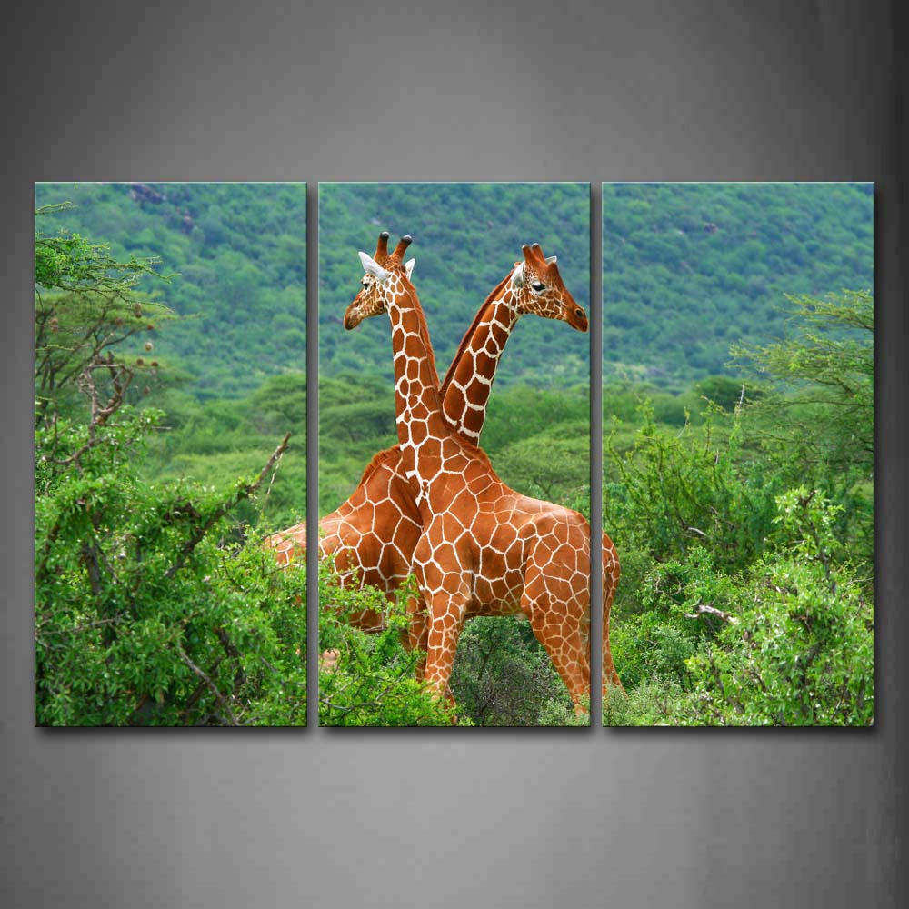 Two Giraffes Stand Closely In Mountain Trees Wall Art Painting The Picture Print On Canvas Animal Pictures For Home Decor Decoration Gift 