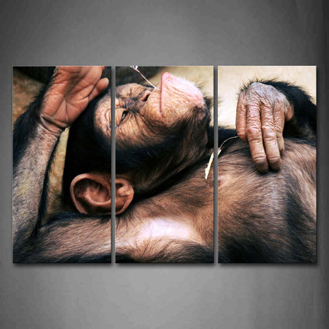 Chimpanzee Lying Portrait Wall Art Painting The Picture Print On Canvas Animal Pictures For Home Decor Decoration Gift 