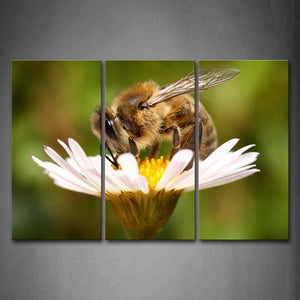 Yellow Bee Stop On Flower To Gather Honey Wall Art Painting Pictures Print On Canvas Animal The Picture For Home Modern Decoration 