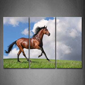 Yellow Horse Run On Grassland Cloud Wall Art Painting Pictures Print On Canvas Animal The Picture For Home Modern Decoration 