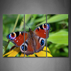 Colorful Butterfly Stop On Yellow Flower Wall Art Painting Pictures Print On Canvas Animal The Picture For Home Modern Decoration 