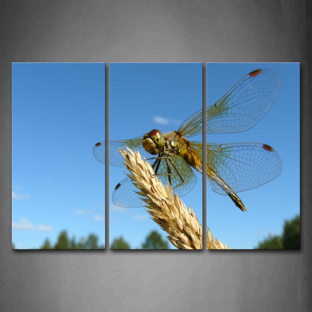 Dragonfly Stop On A Wheat Blue Sky Wall Art Painting The Picture Print On Canvas Animal Pictures For Home Decor Decoration Gift 