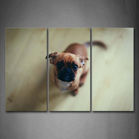 Dog On Wood Land Look Up Wall Art Painting Pictures Print On Canvas Animal The Picture For Home Modern Decoration 