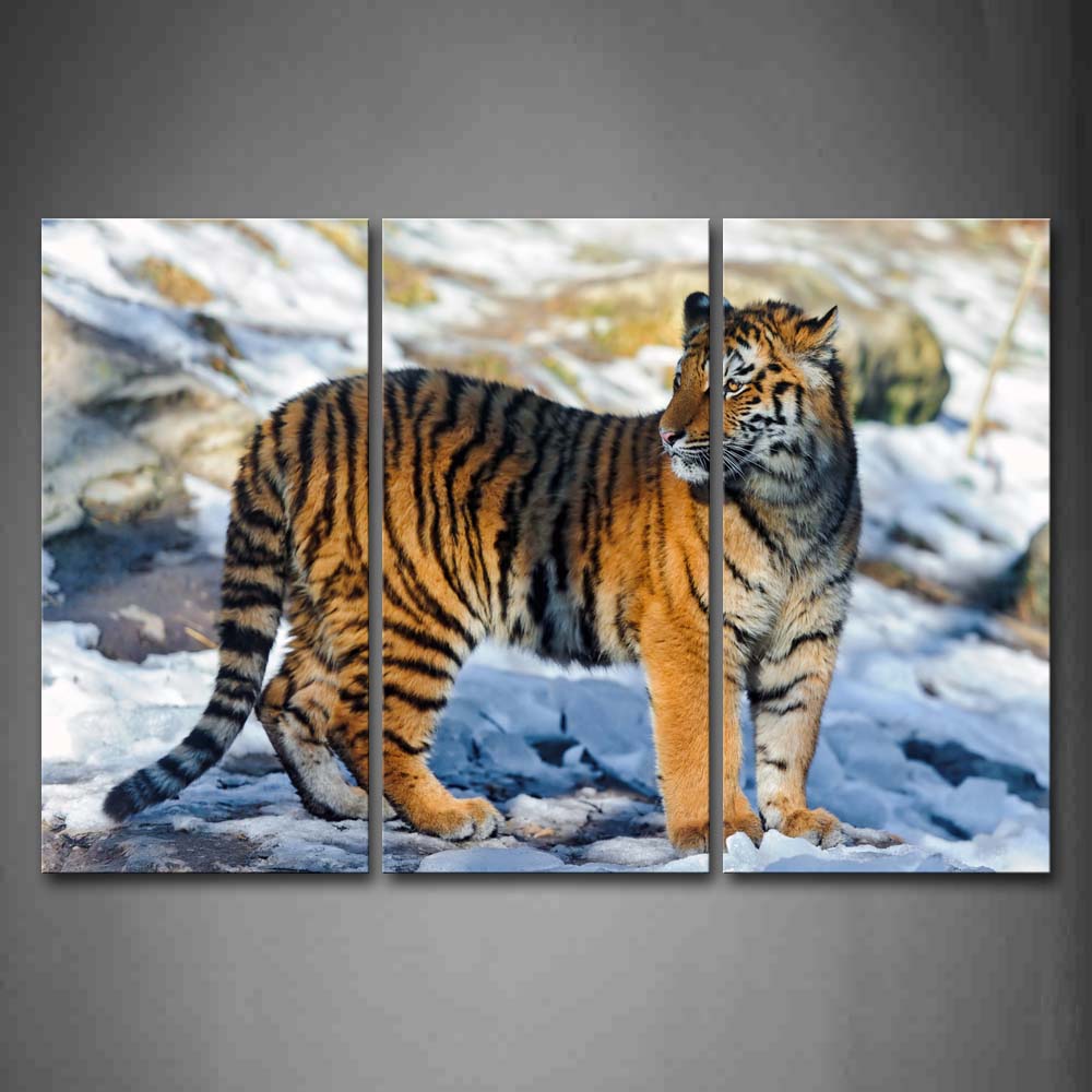 Tiger Stand On Snowfield Look Back Stone Wall Art Painting The Picture Print On Canvas Animal Pictures For Home Decor Decoration Gift 