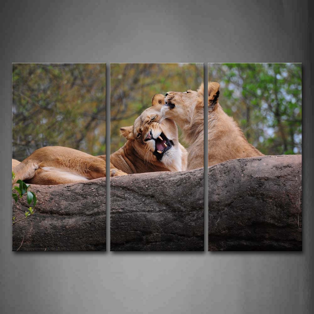 Two Lions Play On Rock Trees Wall Art Painting Pictures Print On Canvas Animal The Picture For Home Modern Decoration 