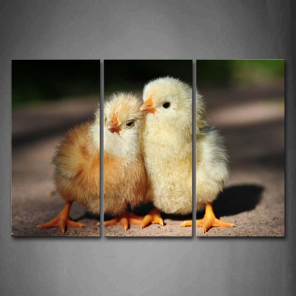 Two Cute Chicken Stand Closely On Land  Wall Art Painting The Picture Print On Canvas Animal Pictures For Home Decor Decoration Gift 