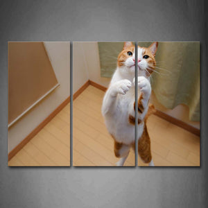 Cat Stand Upright Inside Room Curtain Wall Art Painting Pictures Print On Canvas Animal The Picture For Home Modern Decoration 