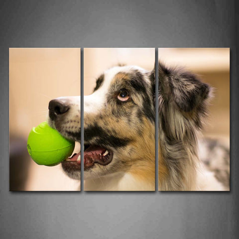 Dog Bite Green Ball Head Portrait Wall Art Painting The Picture Print On Canvas Animal Pictures For Home Decor Decoration Gift 