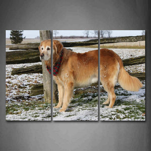 Yellow Dog Stand On Grass Near Wood Snow Cover Grass Wall Art Painting Pictures Print On Canvas Animal The Picture For Home Modern Decoration 