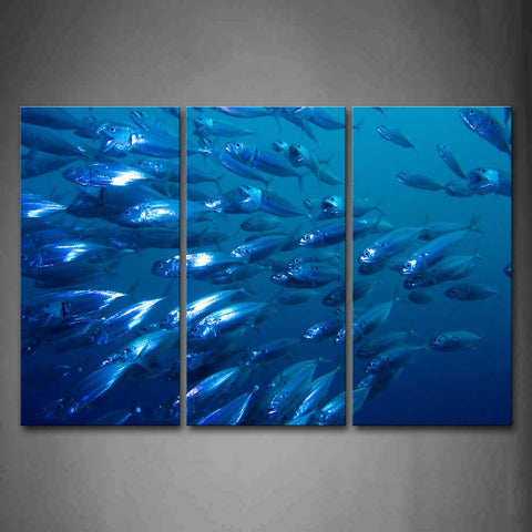 A Group Of Fish In Blue Sea Wall Art Painting Pictures Print On Canvas Animal The Picture For Home Modern Decoration 