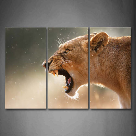 Lion Howl Head Dust  Wall Art Painting Pictures Print On Canvas Animal The Picture For Home Modern Decoration 