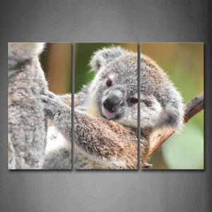 Koala Climb On Branch Wall Art Painting The Picture Print On Canvas Animal Pictures For Home Decor Decoration Gift 