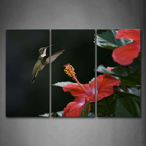 Bird Fly Over Pink Flower  Wall Art Painting Pictures Print On Canvas Animal The Picture For Home Modern Decoration 