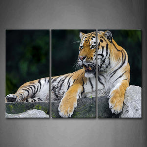 Tiger Sit On Wood Path Stone Wall Art Painting Pictures Print On Canvas Animal The Picture For Home Modern Decoration 