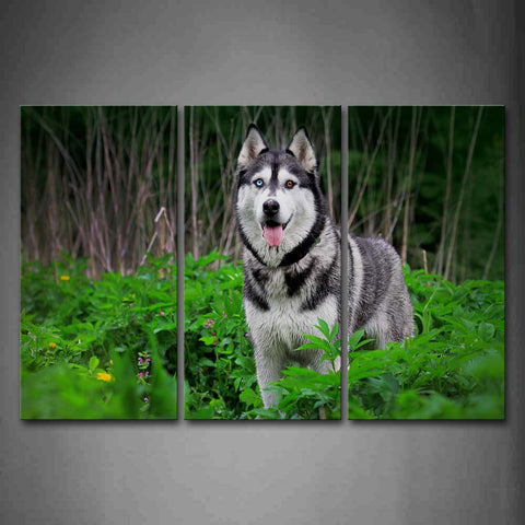 Gray And Black Dog Stand In Plant Wall Art Painting The Picture Print On Canvas Animal Pictures For Home Decor Decoration Gift 