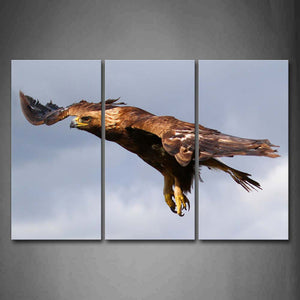 Eagle Fly In Sky Wall Art Painting The Picture Print On Canvas Animal Pictures For Home Decor Decoration Gift 