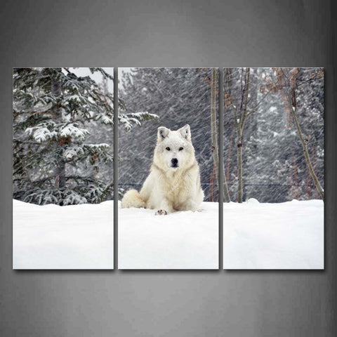 White And Yellow Wolf Sit On Snowfield Tree  Wall Art Painting Pictures Print On Canvas Animal The Picture For Home Modern Decoration 