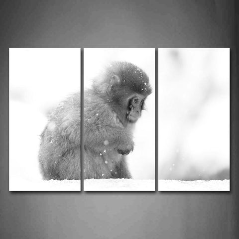 Gray Monkey Sit On Snowfield Snow  Wall Art Painting The Picture Print On Canvas Animal Pictures For Home Decor Decoration Gift 