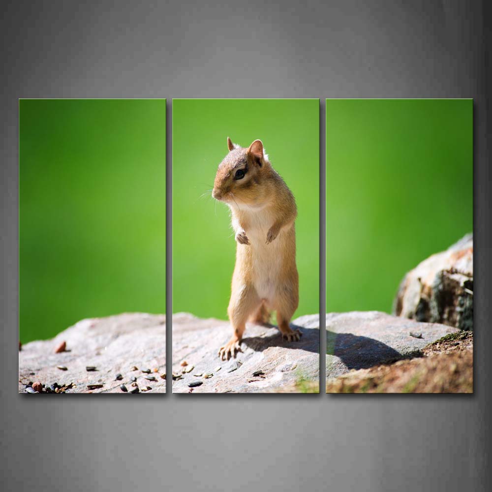 Chipmunk Stand On Rock Food Green Background Wall Art Painting Pictures Print On Canvas Animal The Picture For Home Modern Decoration 