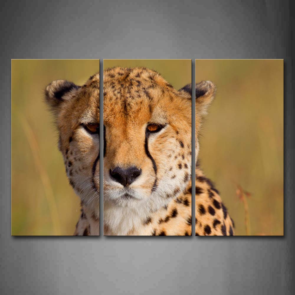 Cheetah Head Grassland Portrait Wall Art Painting The Picture Print On Canvas Animal Pictures For Home Decor Decoration Gift 