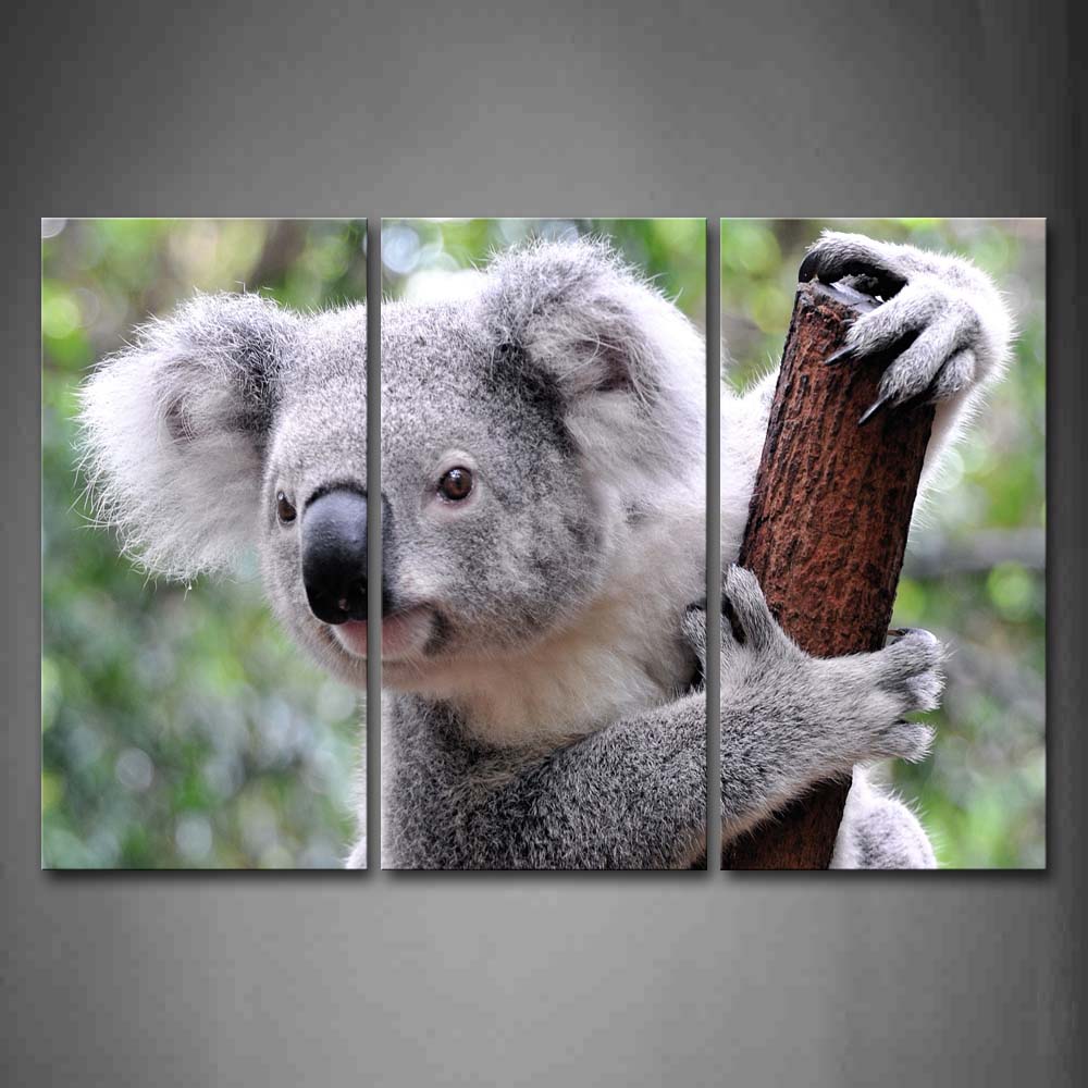 Koala Climb On Stick Tree Wall Art Painting Pictures Print On Canvas Animal The Picture For Home Modern Decoration 