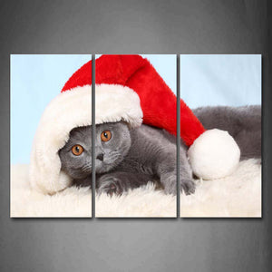 Gray Cat Wear Christmas Hat On White Blanket Wall Art Painting Pictures Print On Canvas Animal The Picture For Home Modern Decoration 