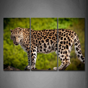 Leopard Stand On Wooden Trestle  Wall Art Painting Pictures Print On Canvas Animal The Picture For Home Modern Decoration 