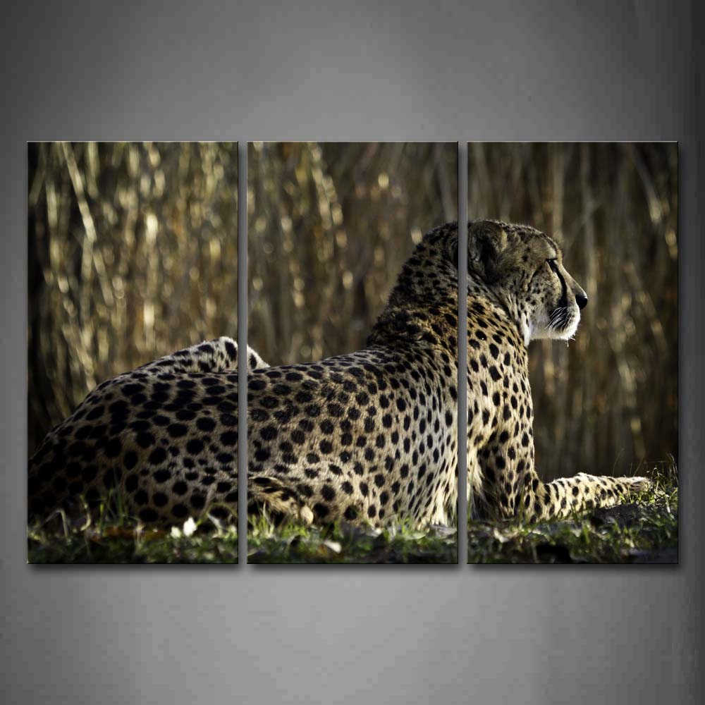 Cheetah Sit On Grass In Grove Wall Art Painting The Picture Print On Canvas Animal Pictures For Home Decor Decoration Gift 