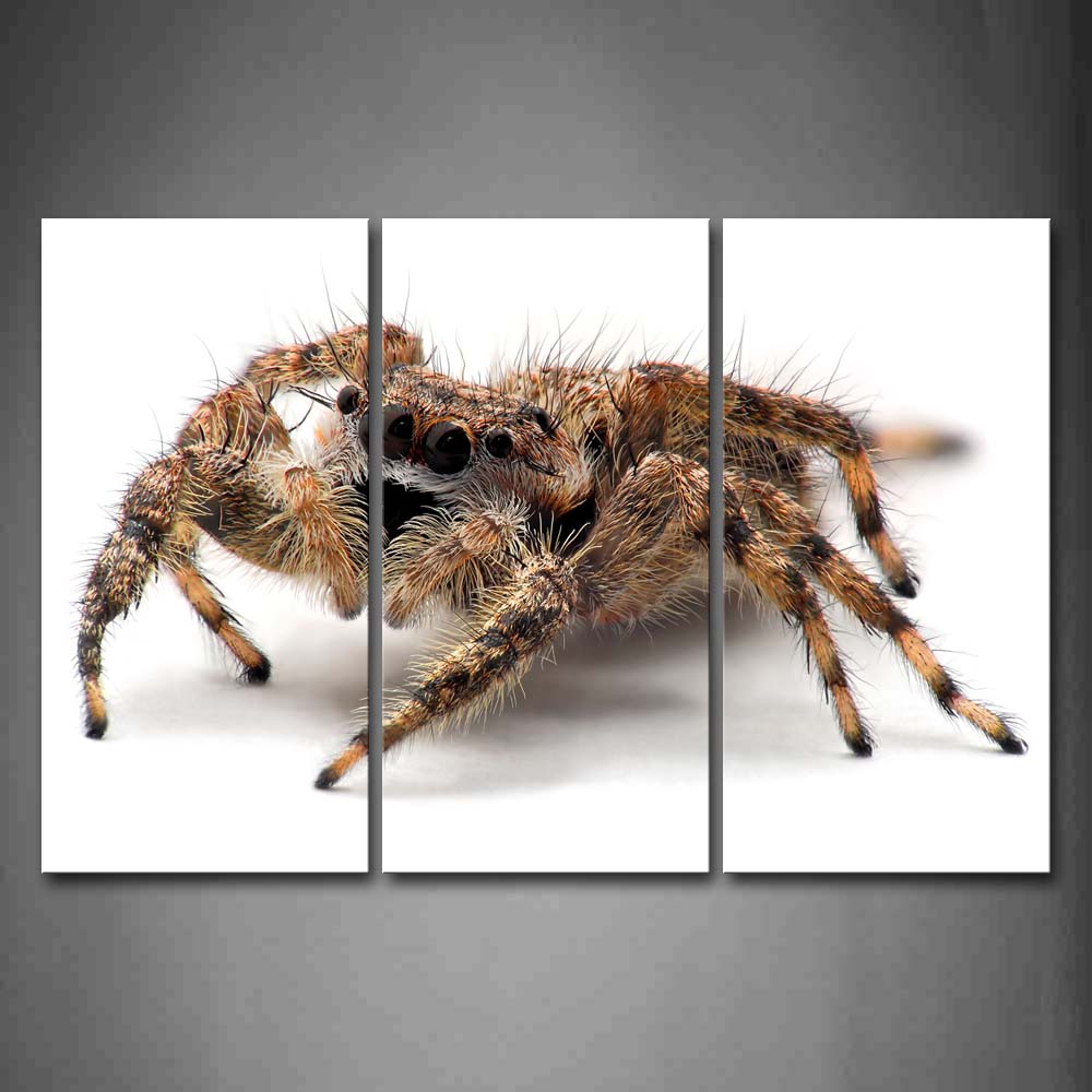 Yellow And Black Spider Portrait Wall Art Painting Pictures Print On Canvas Animal The Picture For Home Modern Decoration 