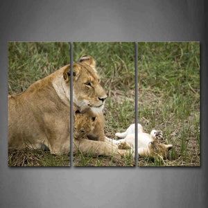 Mother Lion With Cubs On Grass Wall Art Painting Pictures Print On Canvas Animal The Picture For Home Modern Decoration 