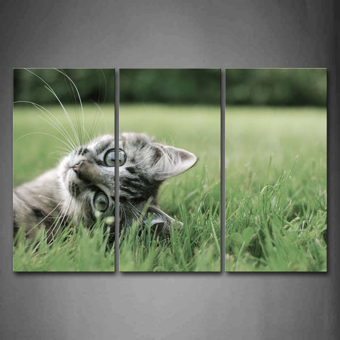 Cat Lie On Grass Head Wall Art Painting Pictures Print On Canvas Animal The Picture For Home Modern Decoration 