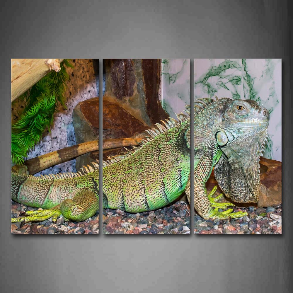 Reptile Stones Plant Wall Art Painting The Picture Print On Canvas Animal Pictures For Home Decor Decoration Gift 