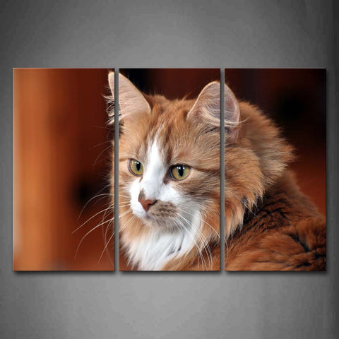 Yellow And White Cat Portrait Wall Art Painting The Picture Print On Canvas Animal Pictures For Home Decor Decoration Gift 