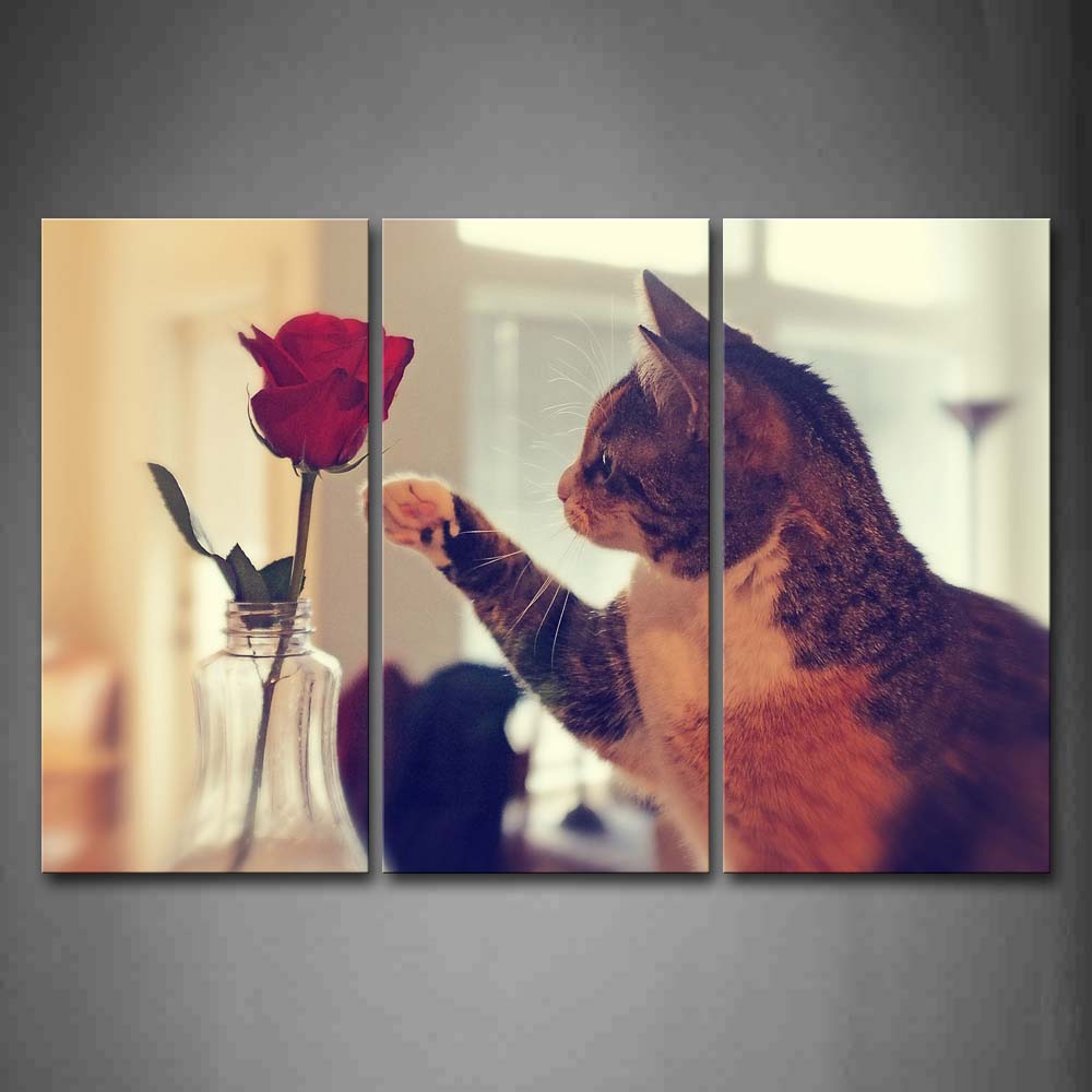 Cat Want To Fetch Rose Inside Room Wall Art Painting Pictures Print On Canvas Animal The Picture For Home Modern Decoration 