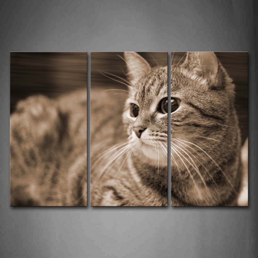 Gray Cat Portrait Wall Art Painting The Picture Print On Canvas Animal Pictures For Home Decor Decoration Gift 