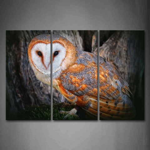 Yellow And Gray Owl On Grass Near Trunk Wall Art Painting Pictures Print On Canvas Animal The Picture For Home Modern Decoration 