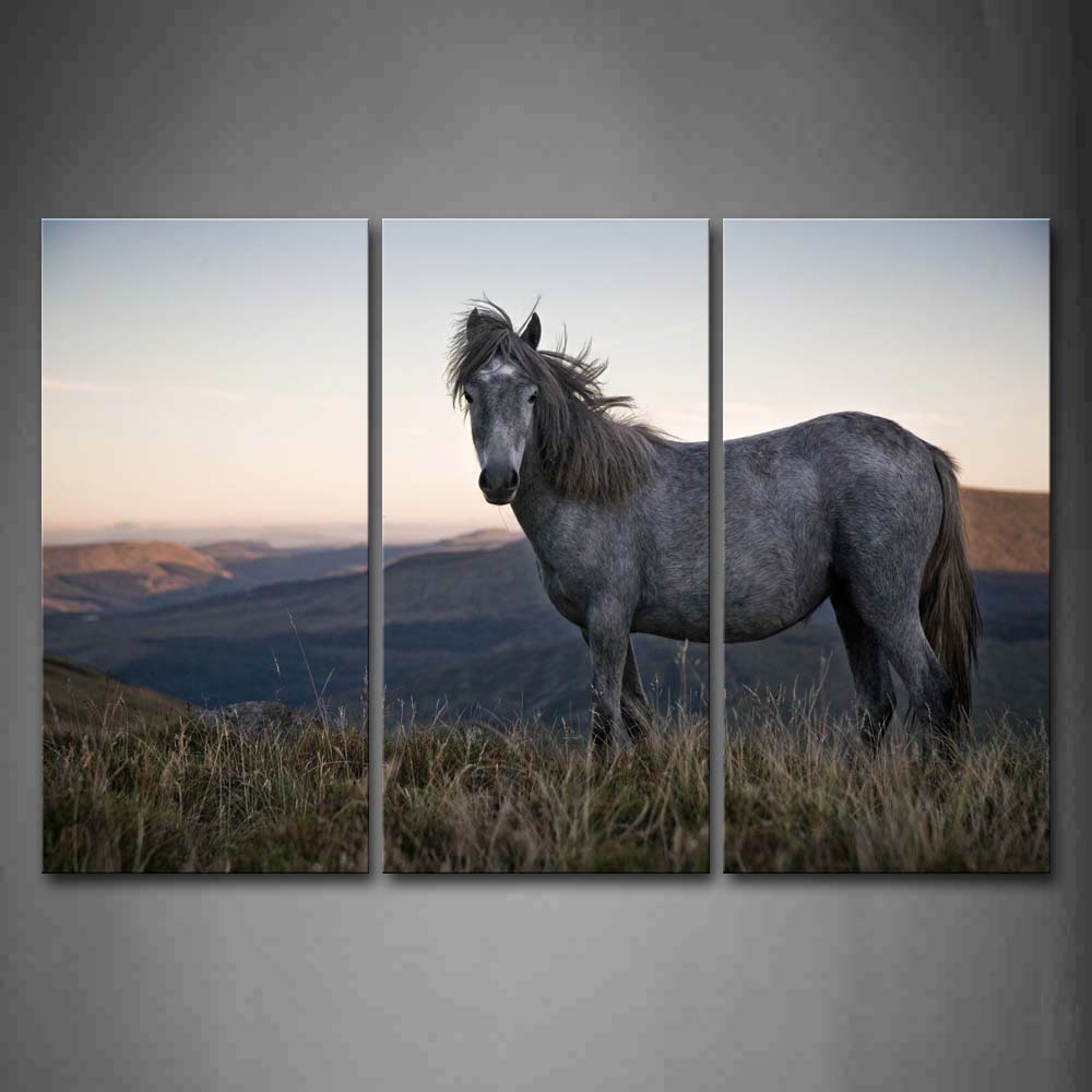 Gray Horse Stand On Dry Grass Hill Wall Art Painting The Picture Print On Canvas Animal Pictures For Home Decor Decoration Gift 