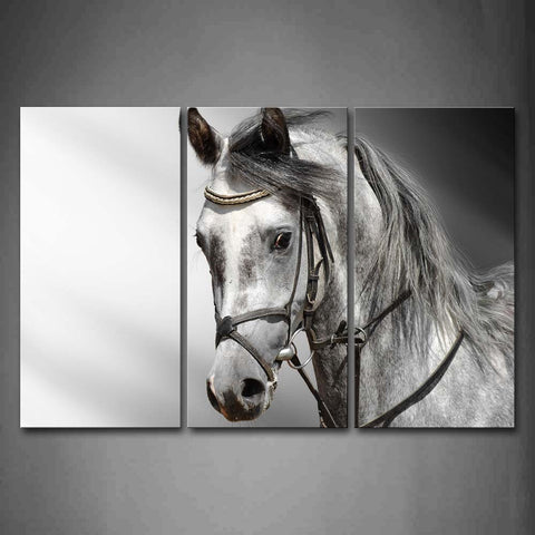 Black And White Gray Horse Head Portrait Wall Art Painting Pictures Print On Canvas Animal The Picture For Home Modern Decoration 