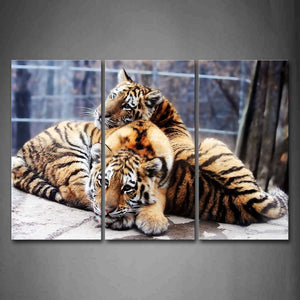 Two Tigers Lie On Land Fence Wall Art Painting The Picture Print On Canvas Animal Pictures For Home Decor Decoration Gift 