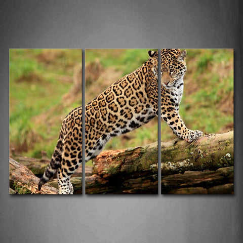 Jaguar Stand On Rotten Wood Grass Wall Art Painting Pictures Print On Canvas Animal The Picture For Home Modern Decoration 