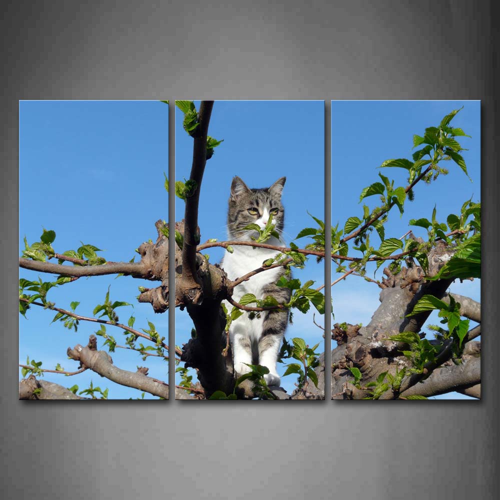 Cat Sit On Tree Top Blue Sky Wall Art Painting Pictures Print On Canvas Animal The Picture For Home Modern Decoration 