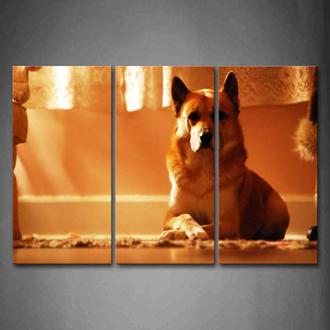 Brown Dog Sit On Blanket Curtain  Wall Art Painting Pictures Print On Canvas Animal The Picture For Home Modern Decoration 