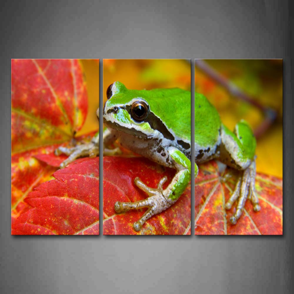 Green Frog On Red Leaf Wall Art Painting The Picture Print On Canvas Animal Pictures For Home Decor Decoration Gift 