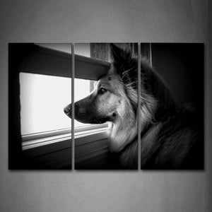 Black And White Dog Ovverlook At Window Wall Art Painting Pictures Print On Canvas Animal The Picture For Home Modern Decoration 