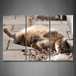 Cat Lie Down Land Near Stones Wall Art Painting The Picture Print On Canvas Animal Pictures For Home Decor Decoration Gift 