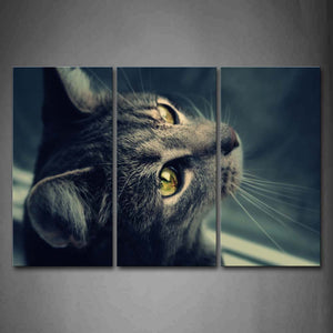 Gray Cat Look Up Head Wall Art Painting Pictures Print On Canvas Animal The Picture For Home Modern Decoration 